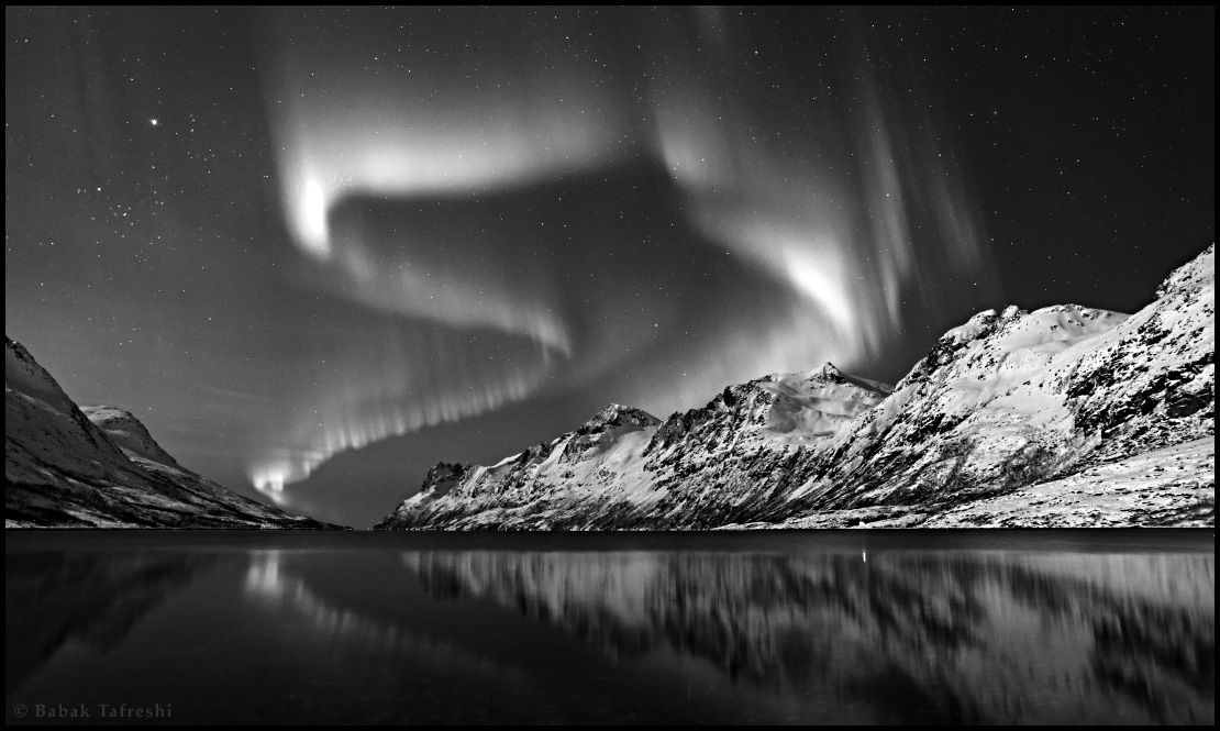 Raffinaderi aktivering gammel Fairy Northern Lights in Black & White" (DreamView)